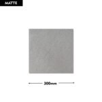 Grey R2 BEJ 300x300 (Matt)