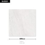 Aneto Ash DM 600x600 (Glossy)