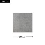 Cotto Steel Grey BEJ 300x300 (Matt)