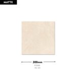 DG 301 BEJ 300x300 (Matt)