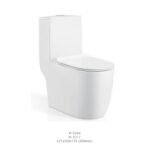 One Piece Toilet SG 625x360x725 S-Trap 300mm (M-9317)