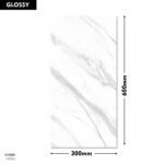 15008-L DM 300x600 (Glossy)