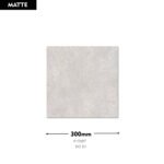 DG 83 BEJ 300x300 (Matt)