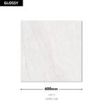 Aneto Ash RG 600X600 (Glossy)