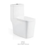 One Piece Toilet SG 690x370x800 S-trap 300mm (M-9321)