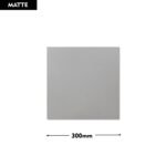 Grey 300 BEJ 300x300 (Matt)