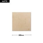 Cotto Beige BEJ 300x300 (Matt)