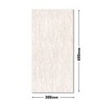 GLO 1376 LT-R2 DM 300x600 (Glossy)