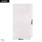 5023-L DM 300x600 (Glossy)