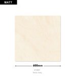 Swiss Ivory DM 600x600 (Matt)