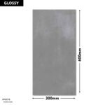 5045-DK DM 300x600 (Glossy)