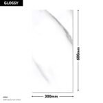 EXP-GLO-167-LT-R2 DM 300x600 (Glossy)