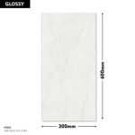 EXP GLO 121-LT-R3 DM 300x600 (Glossy)
