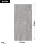 GLO 1175 D R DM 300x600 (Glossy)