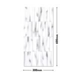 EXP GLO 167-HL1 DM 300x600 (Glossy)