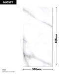 EXP GLO 167 LT-R1 DM 300x600 (Glossy)