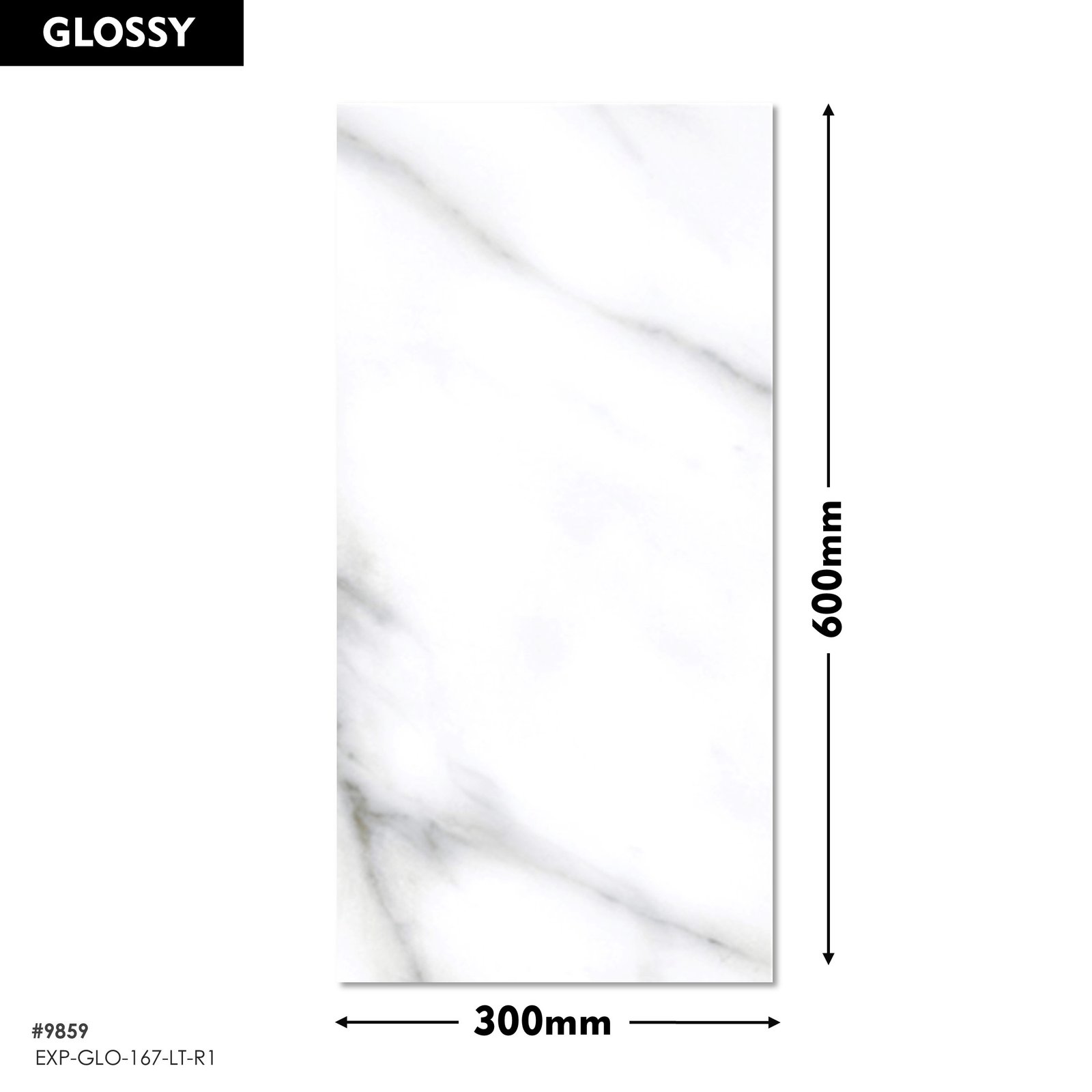 e1273928-8cf2-429e-af3b-bf515e8f2fab.jpg EXP GLO 167 LT-R1 DM 300x600 (Glossy) - Image 1