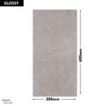 5023-DK DM 300x600 (Glossy)