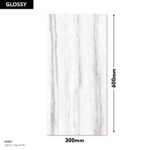 GLO 1196 LT-R1 DM 300x600 (Glossy)