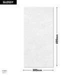 8052-L DM 300x600 (Glossy)