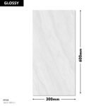 1007-L DM 300x600 (Glossy)