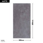 5022-DK DM 300x600 (Matt)