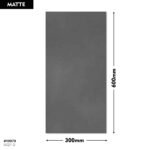 EX Matto 5027-D  DM 300x600 (Matt)