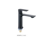 Bathroom Faucet TB-138-33BK (Cold)
