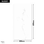 8042-L DM 300x600 (Glossy)