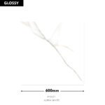 DM ALPHA WHITE (GLOSSY) 600X600