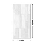 GLO 1157-HL1 DM 300x600 (Glossy)